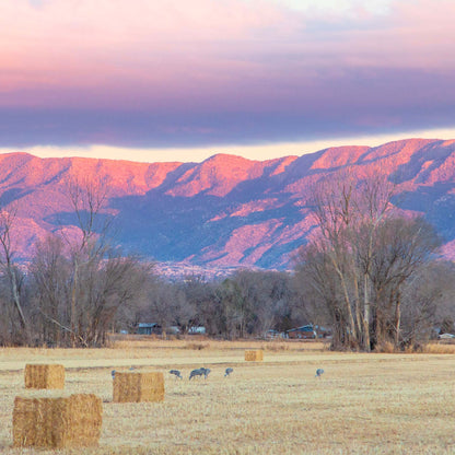 Hay bales Sunset on Sandias