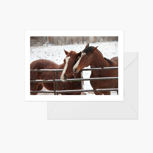 Snowy Horses