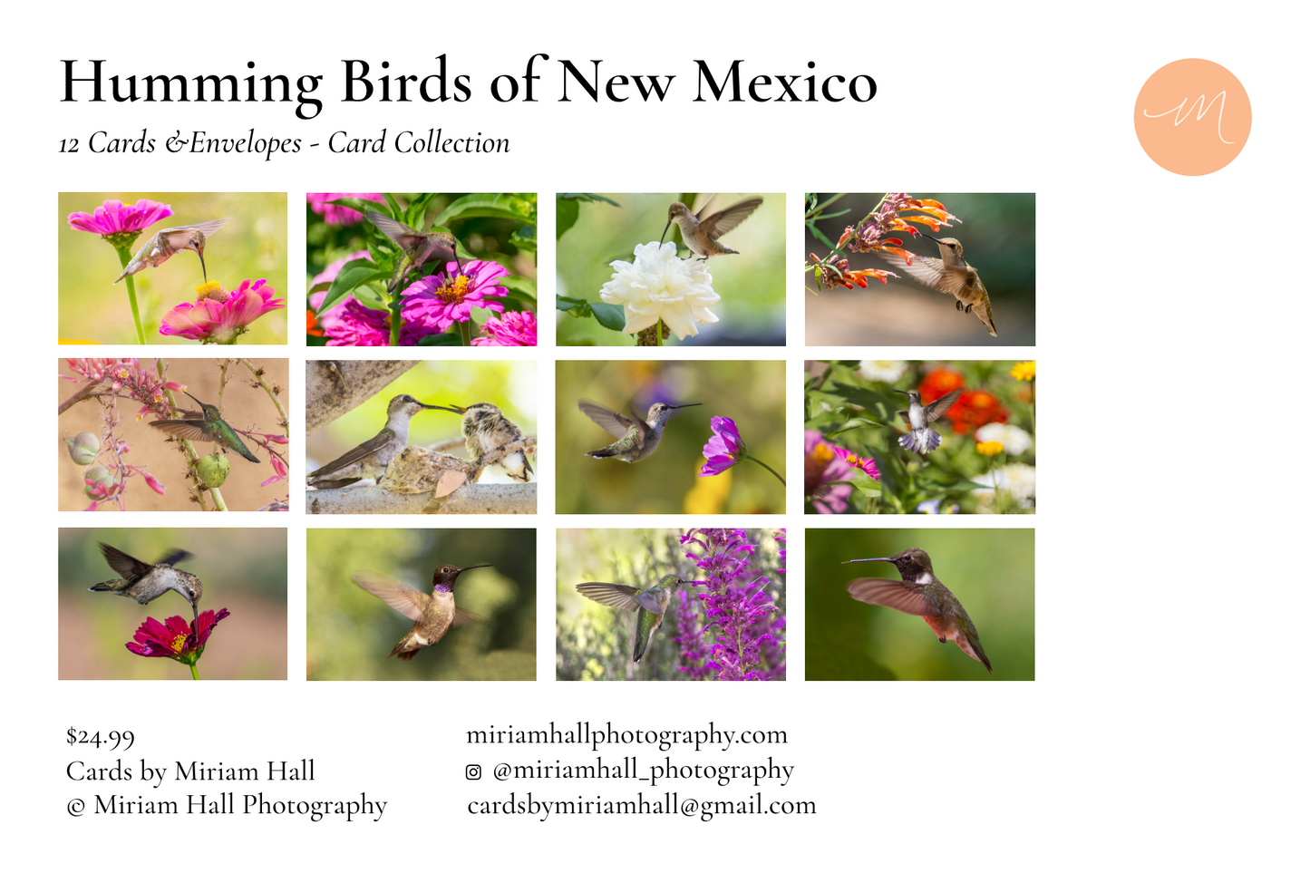 Hummingbirds of New Mexico Card Collection