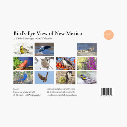 Bird's-Eye View Card Collection