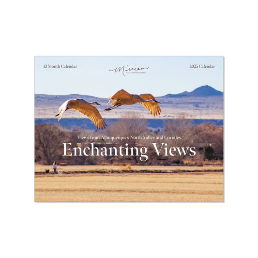 Enchanting Views 2025 Calendar