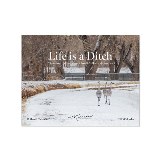 Life is a Ditch 2025 Calendar