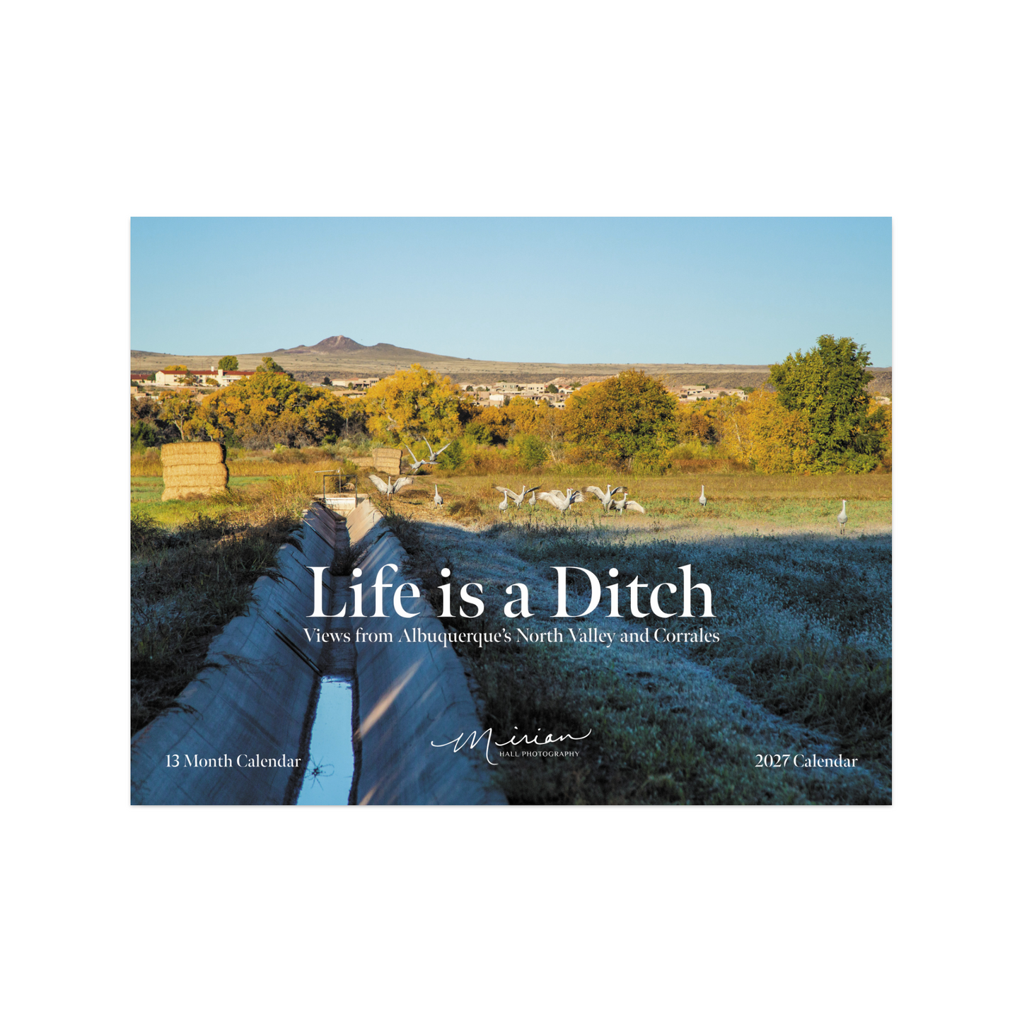 Life is a Ditch 2027 Calendar Pre-Order