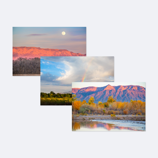 New Enchanting Views Card Collection