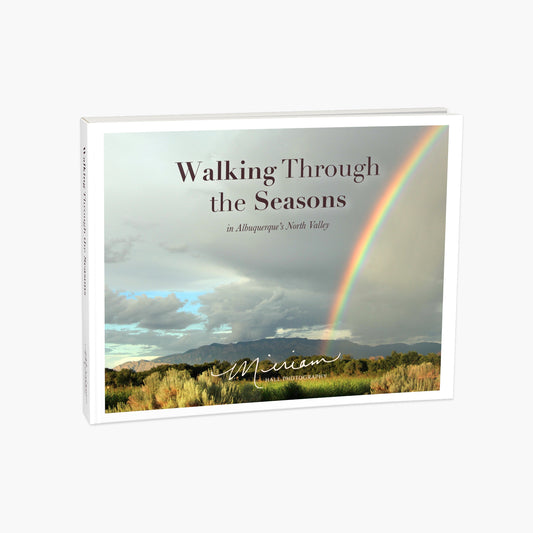 Walking Through the Seasons Book