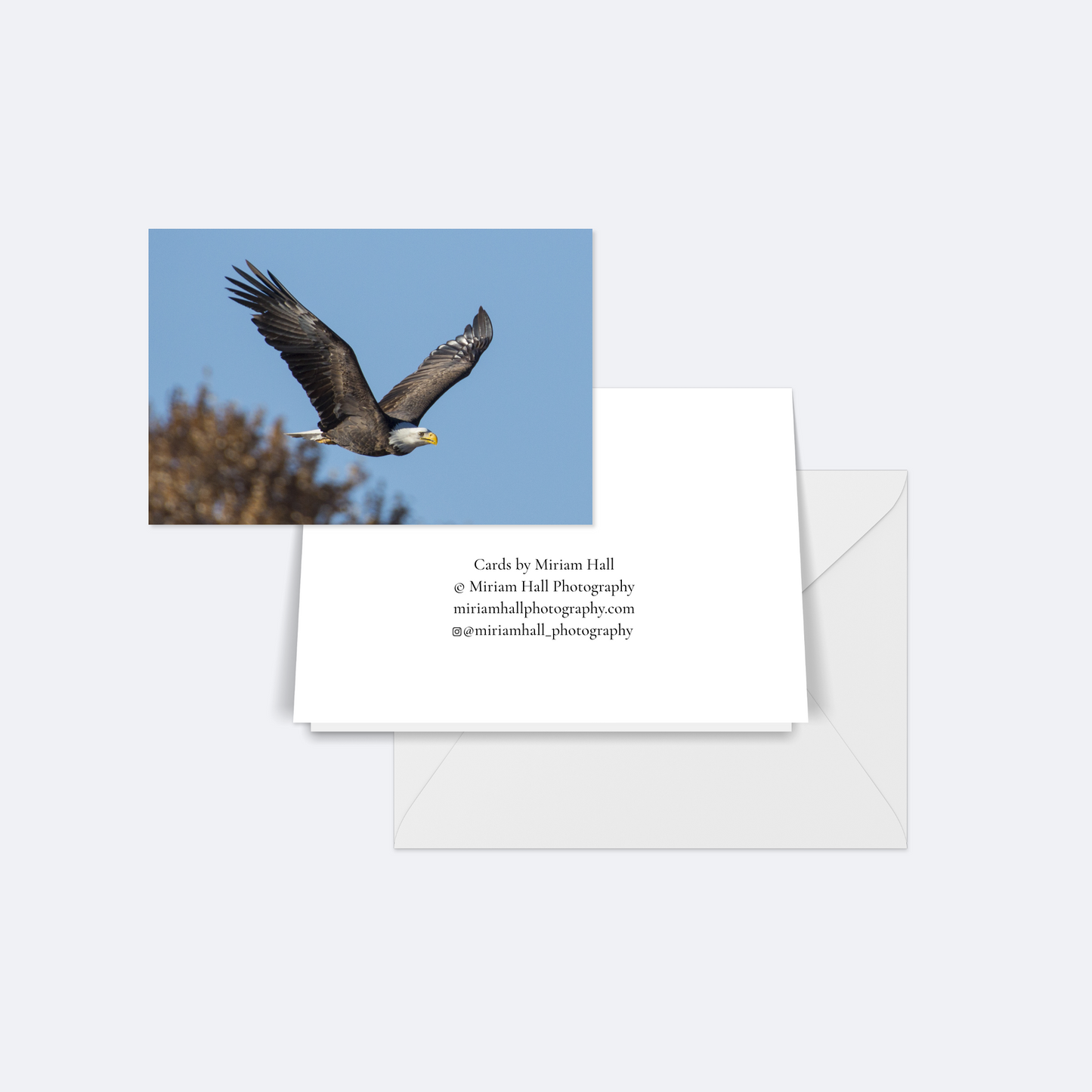 Bird Card Collection