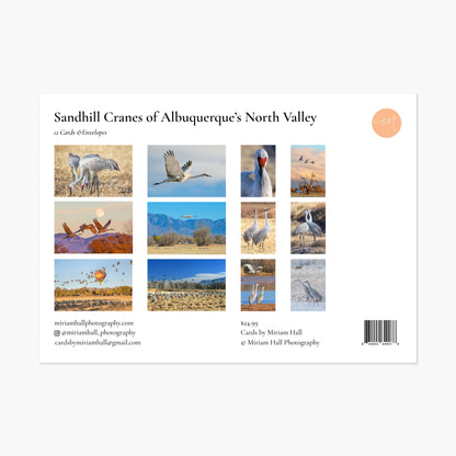 Sandhill Cranes Card Collection