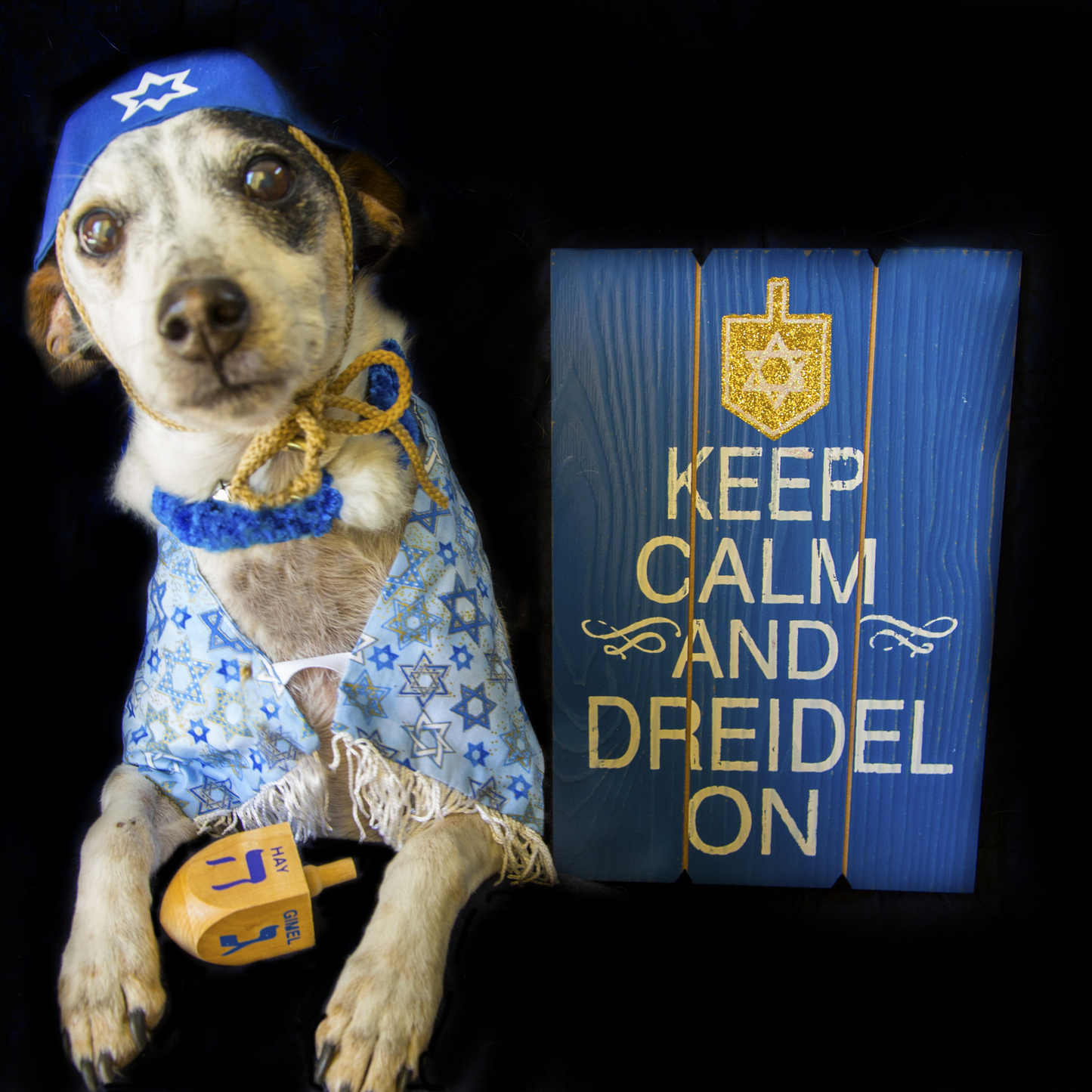Keep Calm and Dreidel On