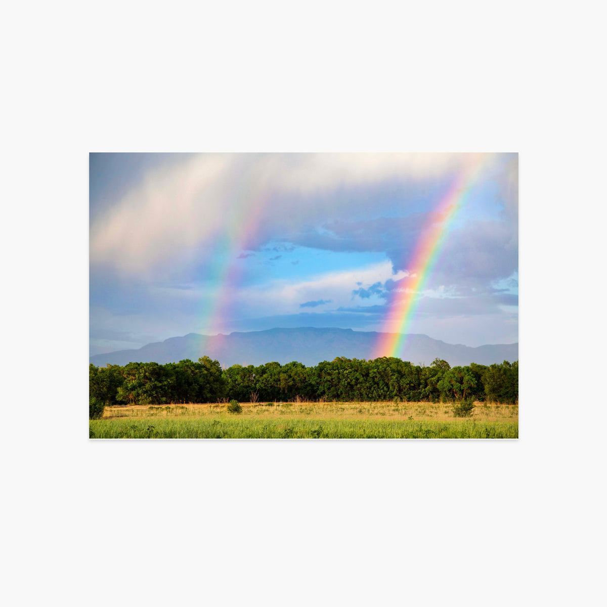 Double Rainbow in Front of Sandia Mountains Luxe Postcard
