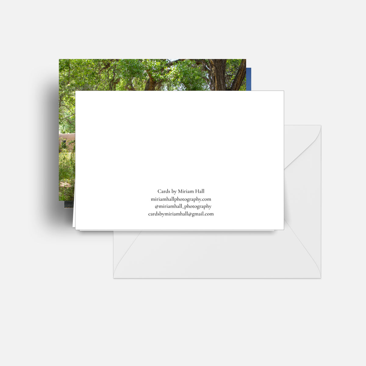 Green Summer Ditch Reflections Luxe Postcard