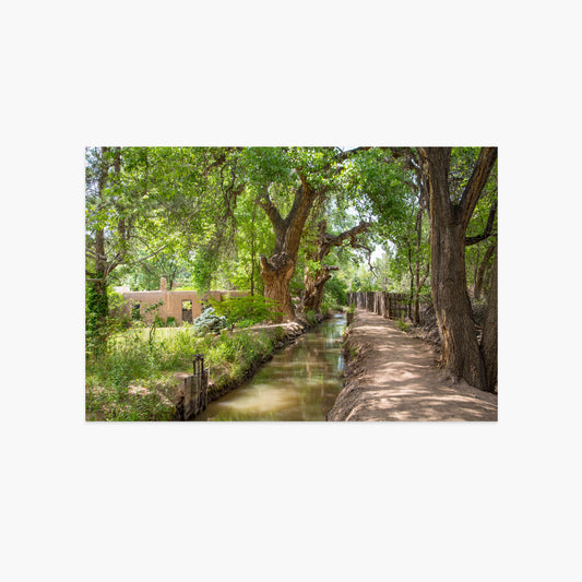 Green Summer Ditch Reflections Luxe Postcard