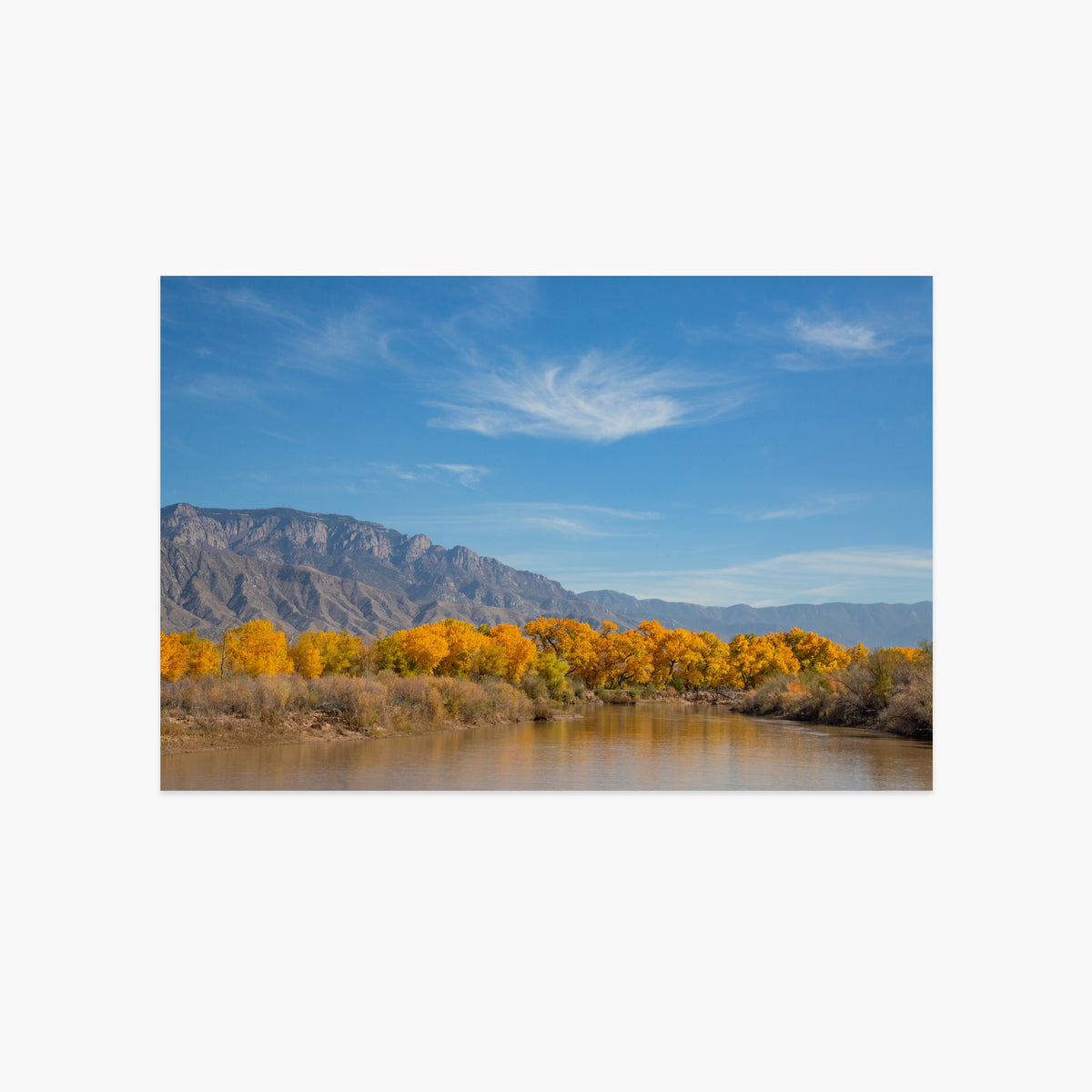 Autumnal View of Sandia Mountains Luxe Postcard