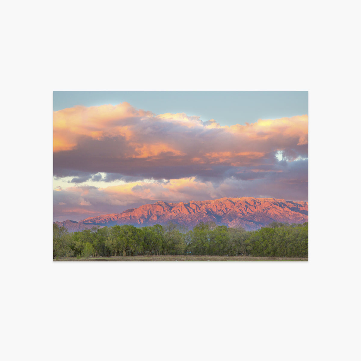 Sandia Mountains at Sunset Luxe Postcard