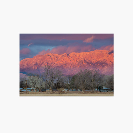Winter Sunset on Sandia Mountains Luxe Postcard