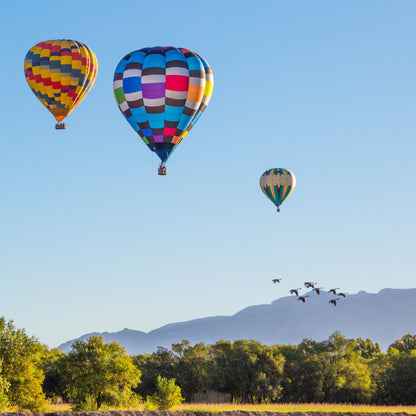 New Mexico Balloon Fiesta - Geese Flying at Sunrise