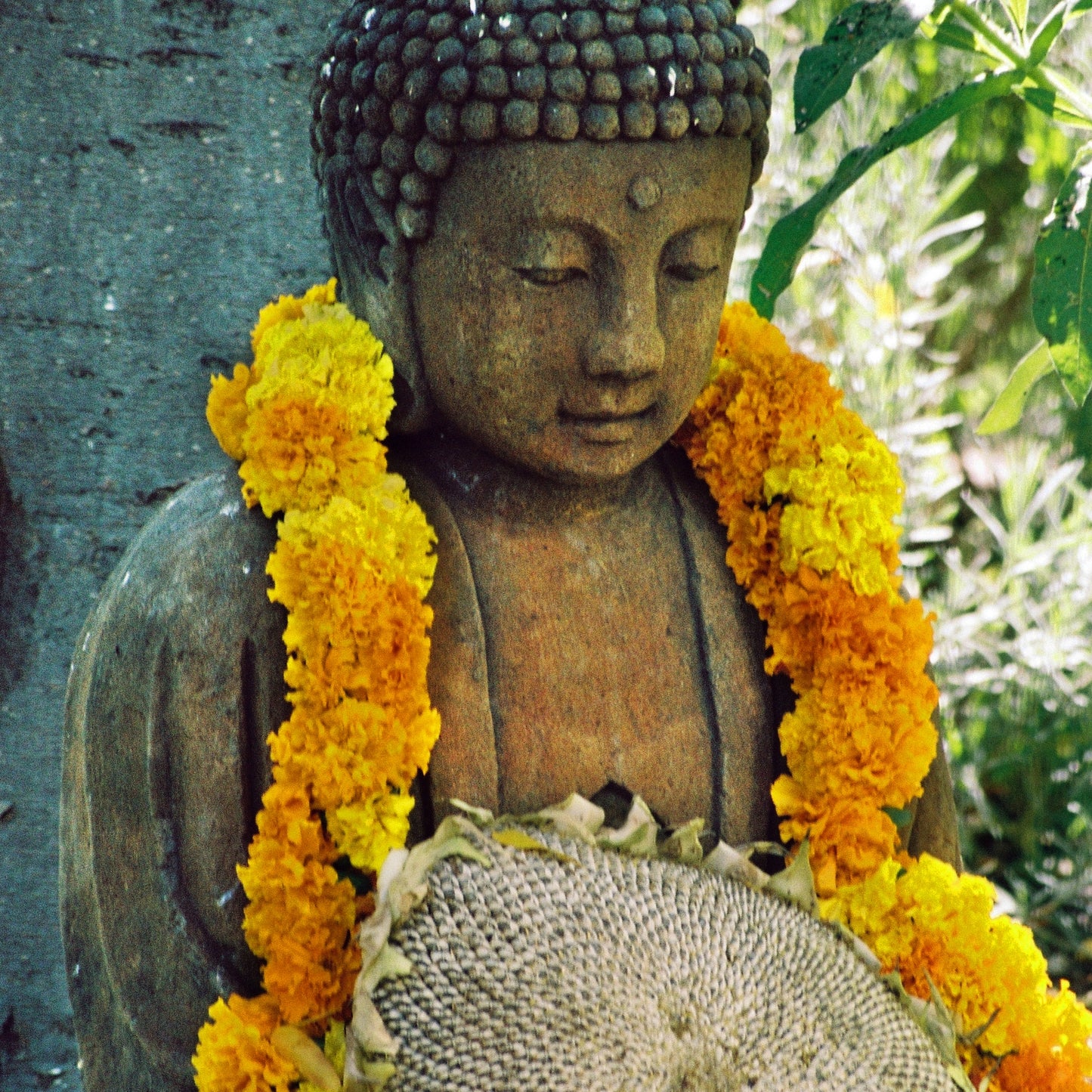 Buddha with Sunflower and Marigolds