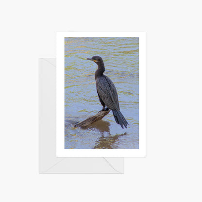 Cormorant Hunting at Sunset