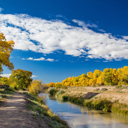 New Mexico Fall Ditch