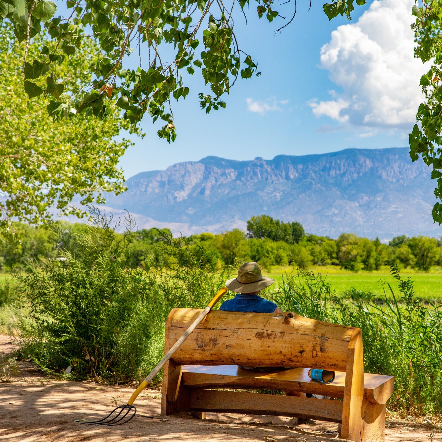 Open Space Farmers Bench