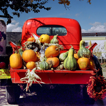 New Mexico Fall Red Truck