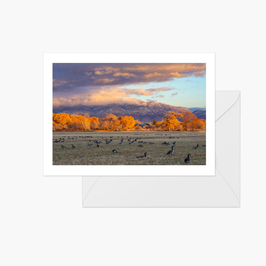 Sandia Mountains Golden Sunset