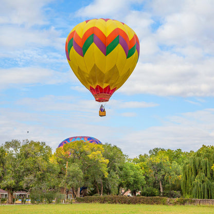 New Mexico Balloon Fiesta - Yellow Balloon