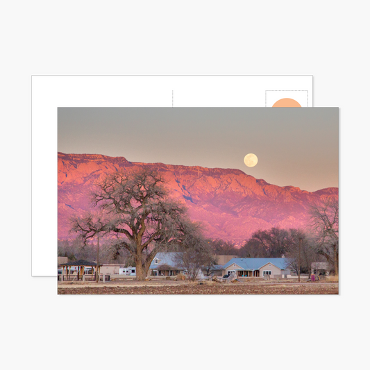 Moon over Pink Sandia Mountains Postcard