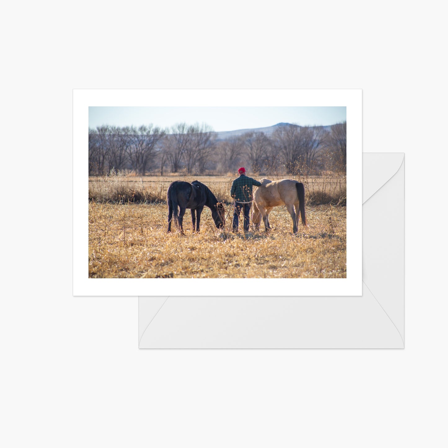 Red Hat with Horses