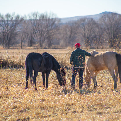 Red Hat with Horses