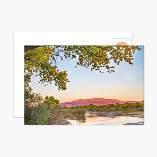 Sandia Mountains with Rio Grande at Sunset Postcard