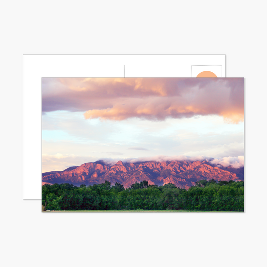 Smokey Pink and Green Sunset Postcard