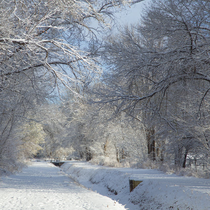 Snowy Winter Ditch