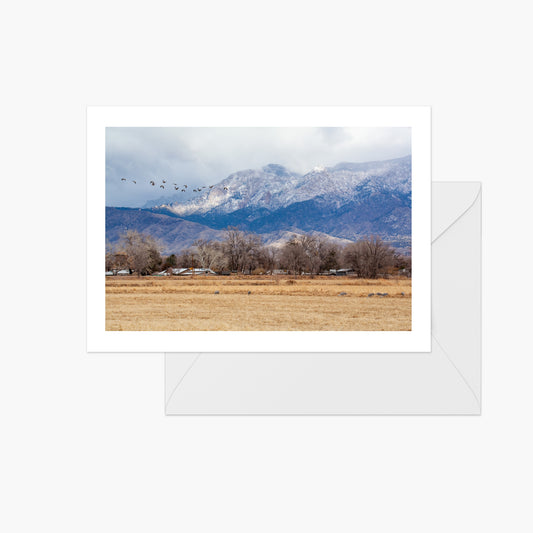 Snowy Sandia with Sandhill Geese