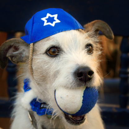 Happy Ball Hanukkah