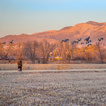 Los Poblanos at Sunset