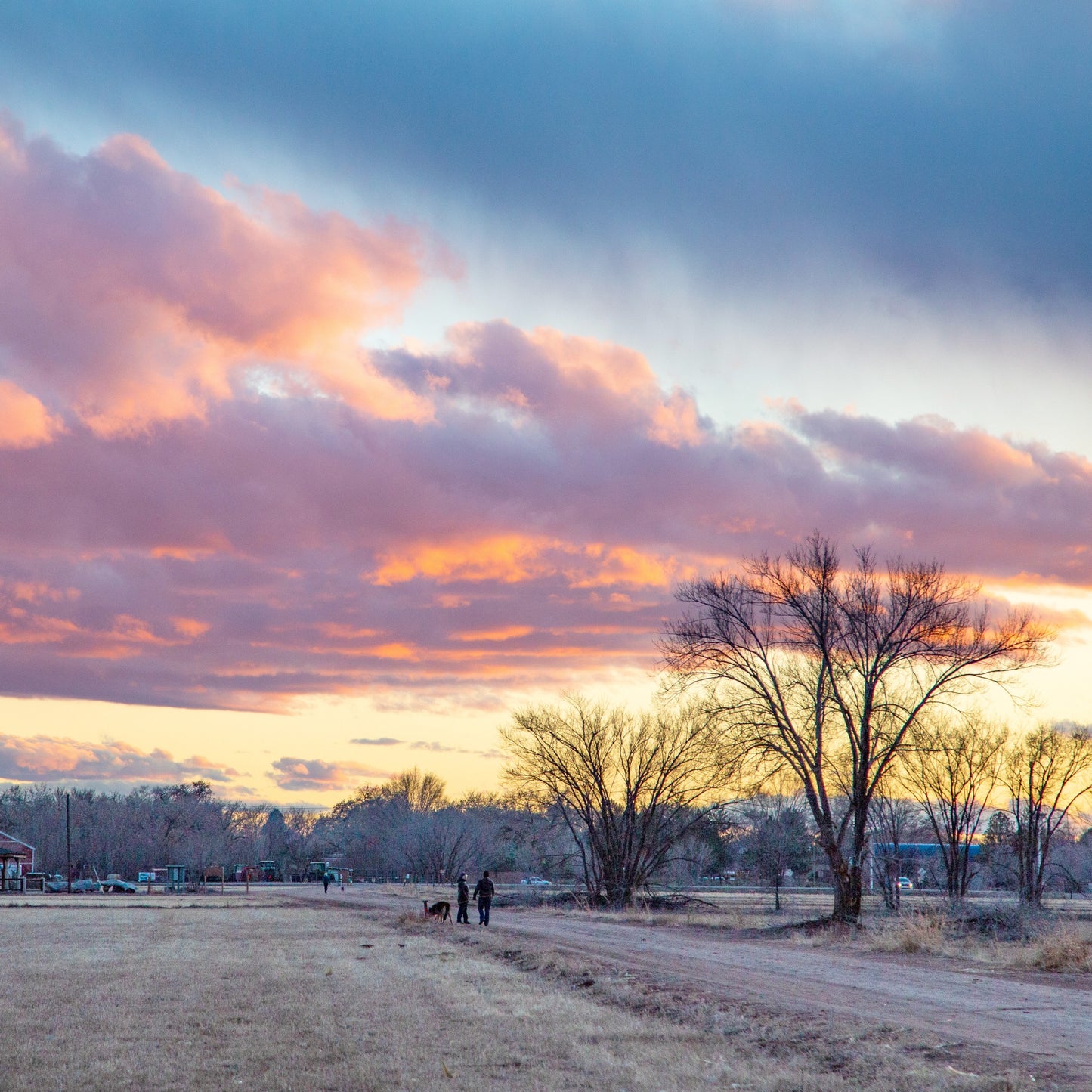 Winter Clouds Sunset at Los Poblanos Open Space Fields