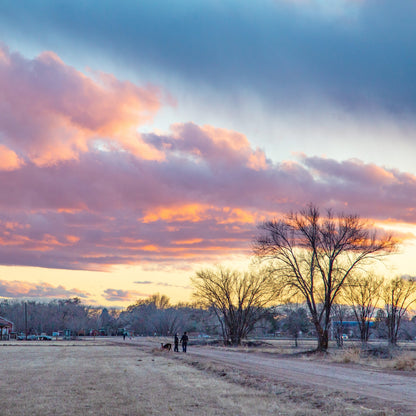 Winter Clouds Sunset at Los Poblanos Open Space Fields