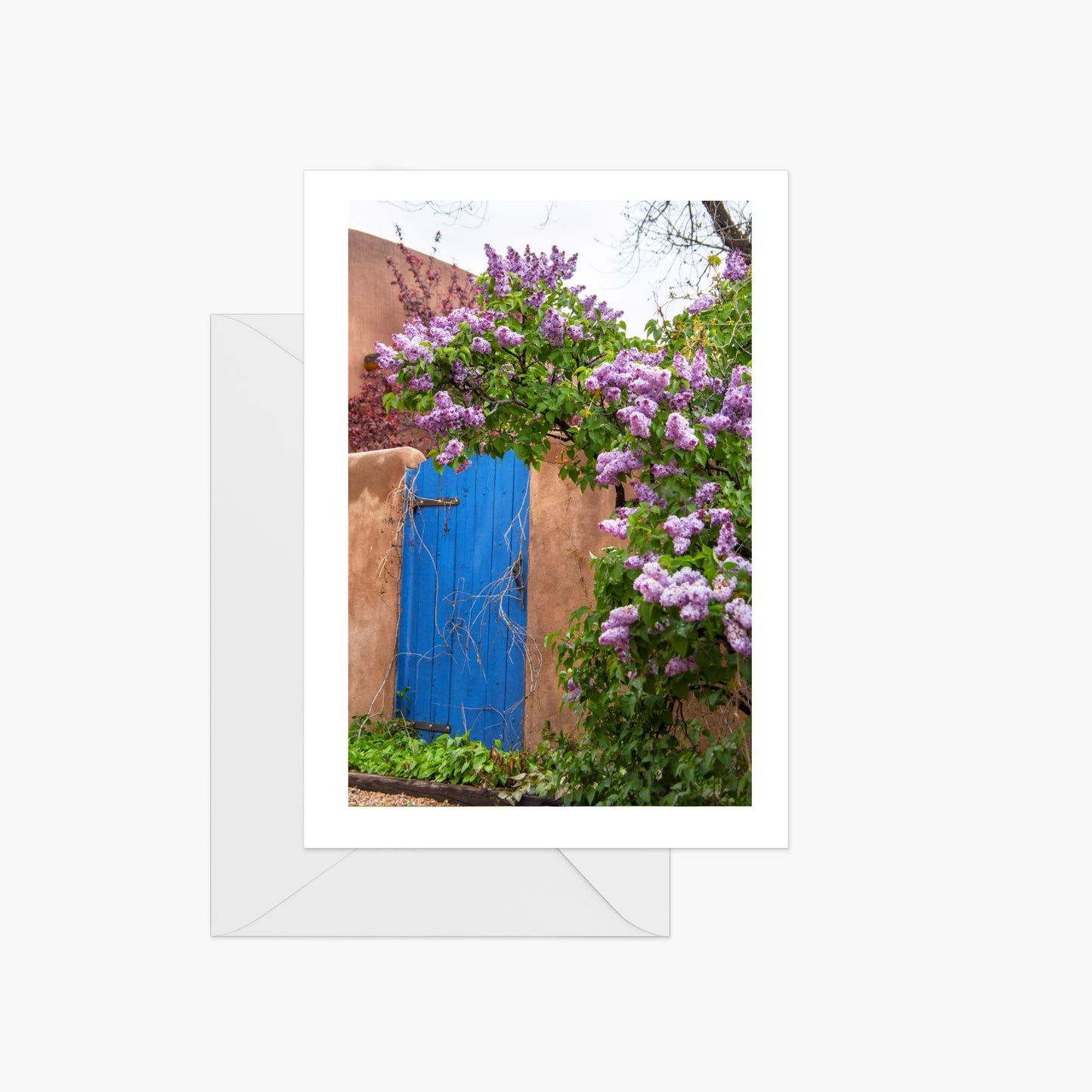 Blue Gate with Lilacs