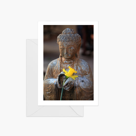Buddha with Daffodil