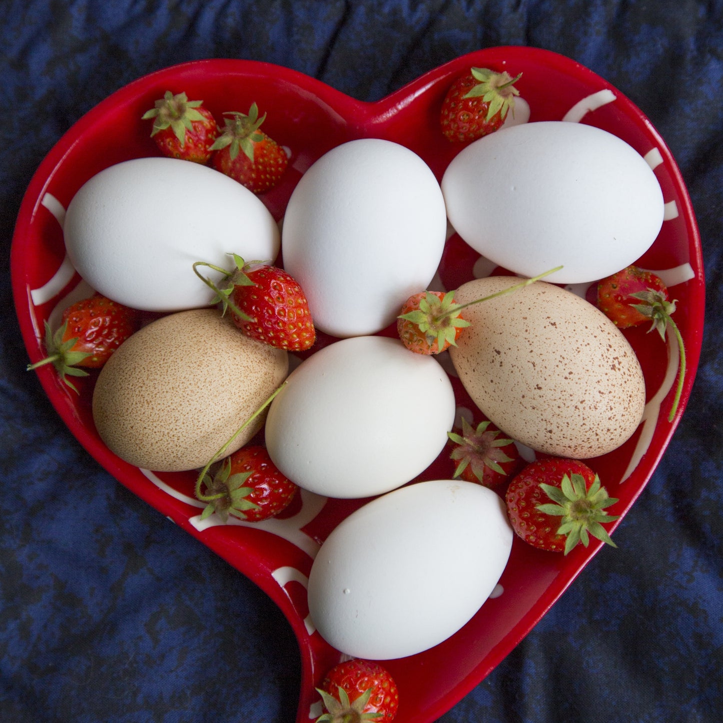 Heart of Eggs