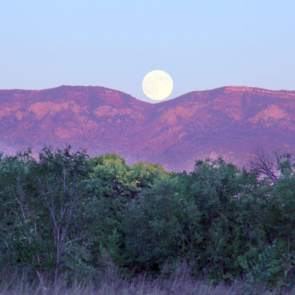 Purple Moonrise