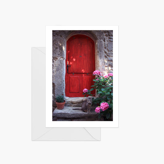 Red Door with Cat