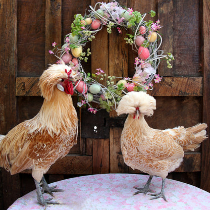 Two Easter Chickens